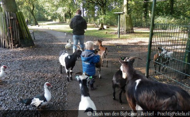 Help mee op 15 maart in de Dierenweide van Nieuwe Pekela