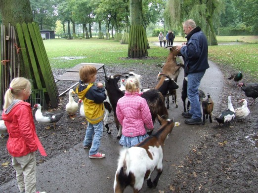 Dierenweide in Nieuwe Pekela is klaar