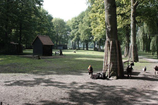 In de schijnwerper op Prachtig Pekela