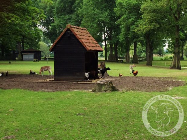 Jubilerende Stichting Dierenweide Nieuwe Pekela bestaat 10 jaar