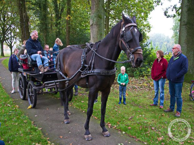 16 oktober Open dag!