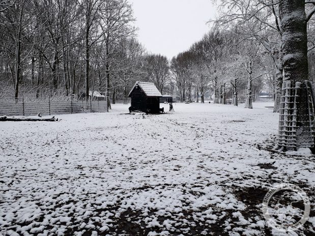 Dagboek van een geit: Sneeuw op de dierenweide